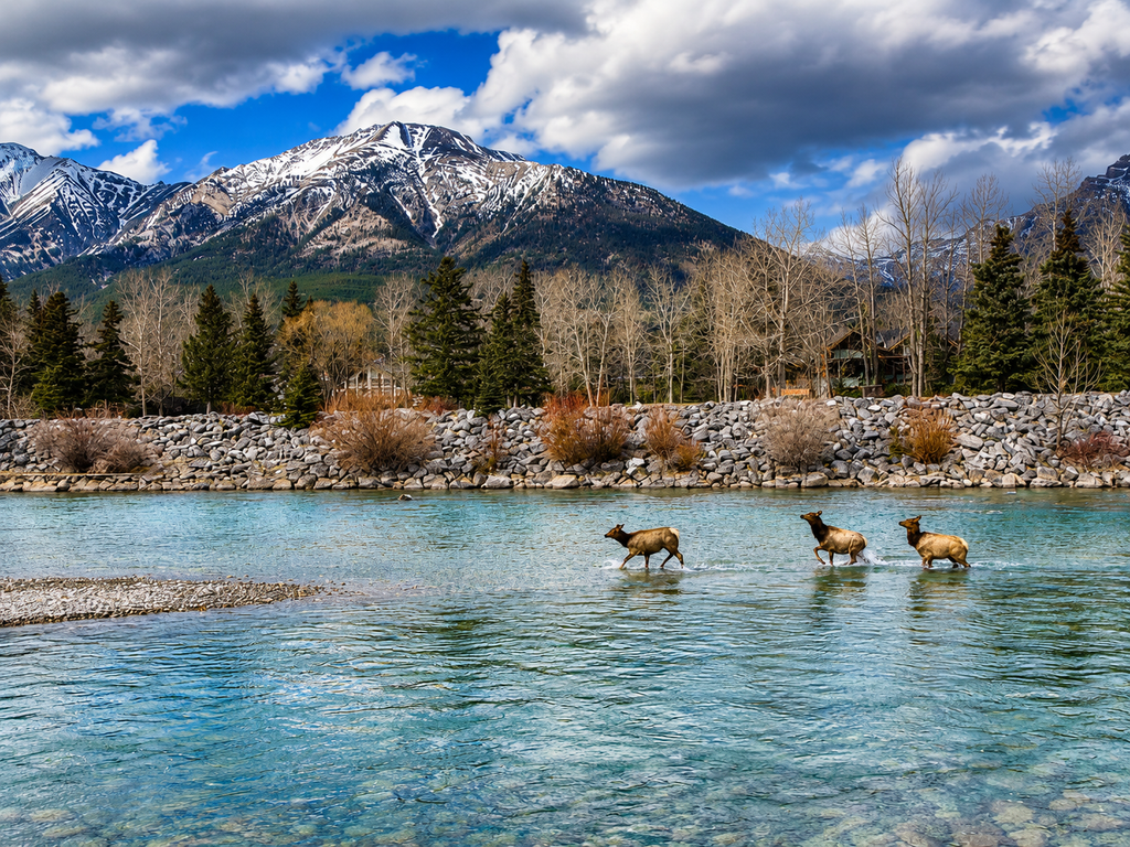 Wildlife Coast Lightroom Preset Pack