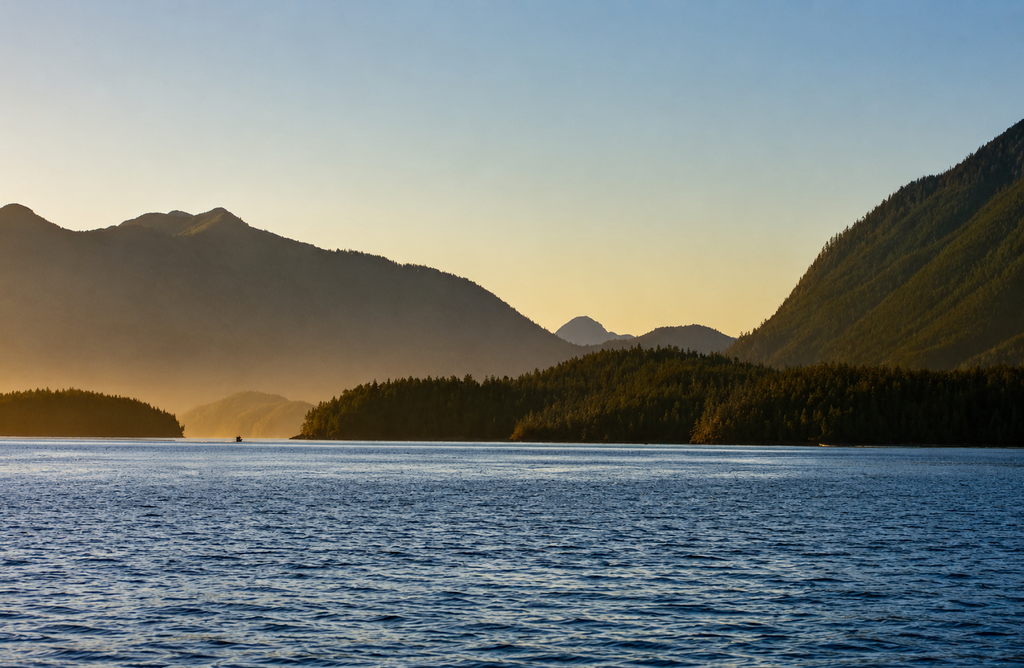 Wildlife Coast Lightroom Preset Pack