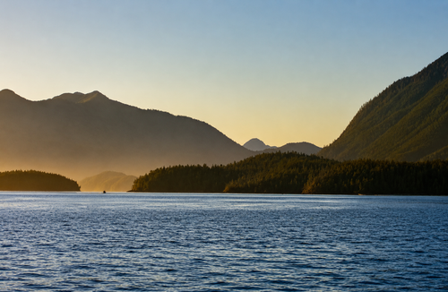 Wildlife Coast Lightroom Preset Pack