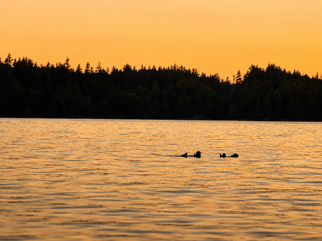 Wildlife Coast Lightroom Preset Pack